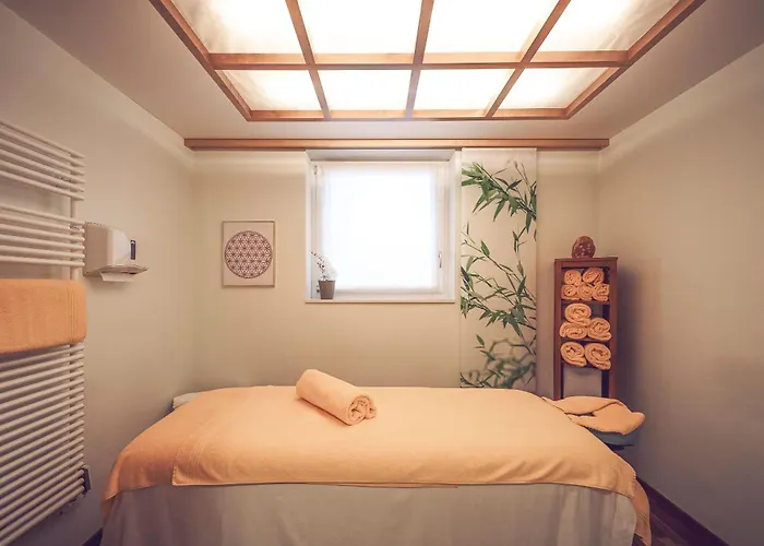 Ξενοδοχείο Mountain Plaza Νταβός