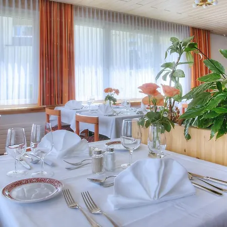 Otel Mountain Plaza 4*